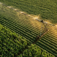 La Unión: &quot;¿Para qué tiene Extremadura transferidas competencias en Agricultura?&quot;