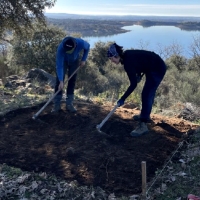 Importantes hallazgos en excavaciones en la Sierra de Gata