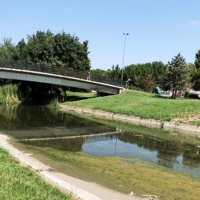 Denuncian que el Ayto. de Mérida ha eliminado decenas de árboles durante la limpieza del río Albarregas