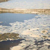 Denuncian que los nuevos planes hidrológicos no toman medidas contra la contaminación del agua