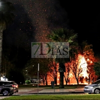 Incendio en los aledaños del Mcdonalds (Avd. de Elvas)