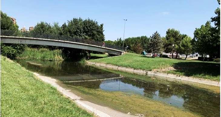 Denuncian que el Ayto. de Mérida ha eliminado decenas de árboles durante la limpieza del río Albarregas