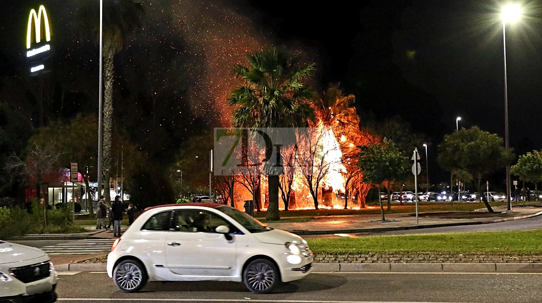 Incendio en los aledaños del Mcdonalds (Avd. de Elvas)