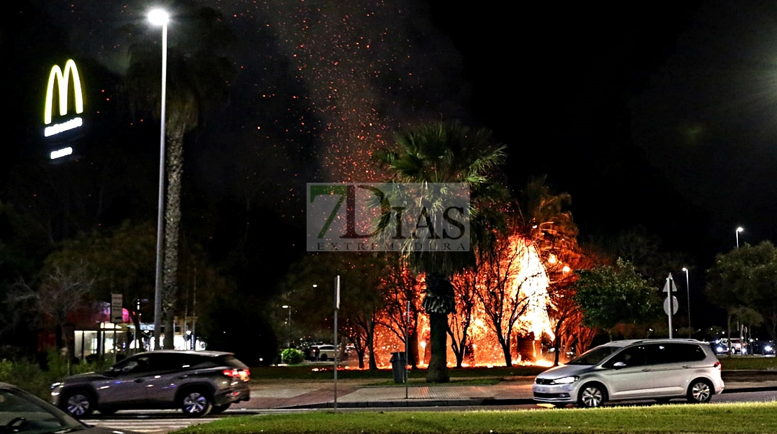 Incendio en los aledaños del Mcdonalds (Avd. de Elvas)