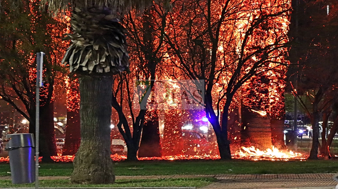 Incendio en los aledaños del Mcdonalds (Avd. de Elvas)