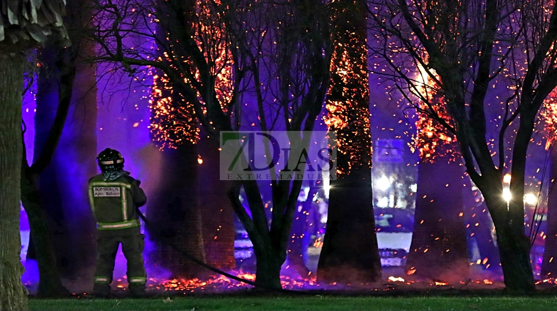 Incendio en los aledaños del Mcdonalds (Avd. de Elvas)