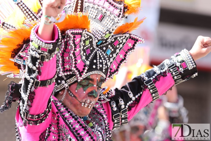 Primeros planos del Gran Desfile de Comparsas de Badajoz 2022