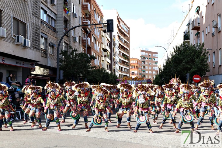 Imágenes del Gran Desfile de Comparsas del Carnaval de Badajoz