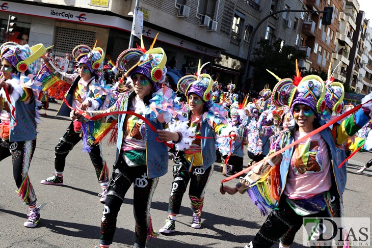 Imágenes del Gran Desfile de Comparsas del Carnaval de Badajoz (II)