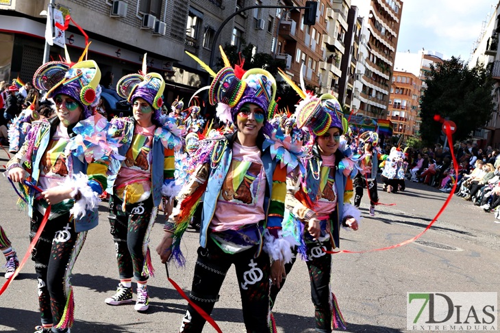 Imágenes del Gran Desfile de Comparsas del Carnaval de Badajoz (II)