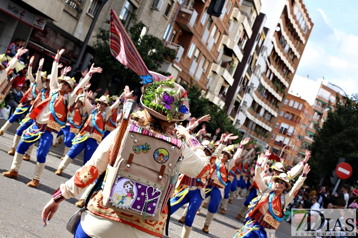 Imágenes del Gran Desfile de Comparsas del Carnaval de Badajoz (II)