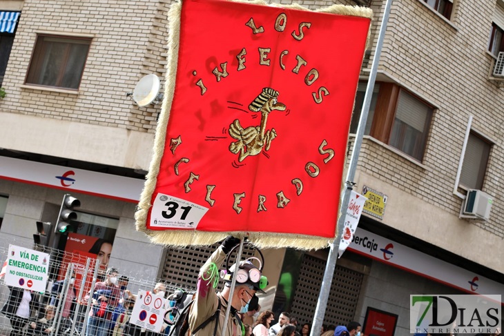 Imágenes del Gran Desfile de Comparsas del Carnaval de Badajoz (II)