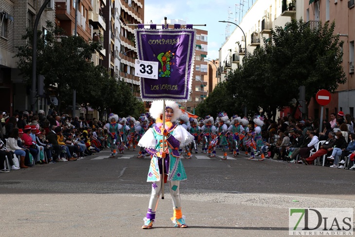 Imágenes del Gran Desfile de Comparsas del Carnaval de Badajoz (II)