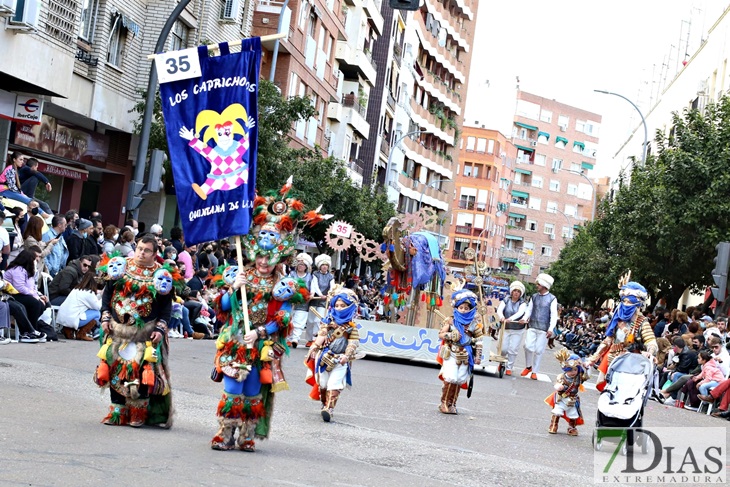 Imágenes del Gran Desfile de Comparsas del Carnaval de Badajoz (II)