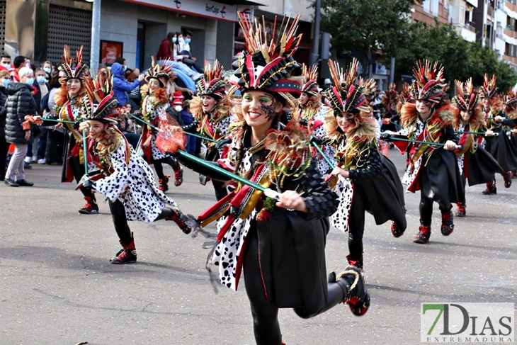 Imágenes del Gran Desfile de Comparsas del Carnaval de Badajoz (II)