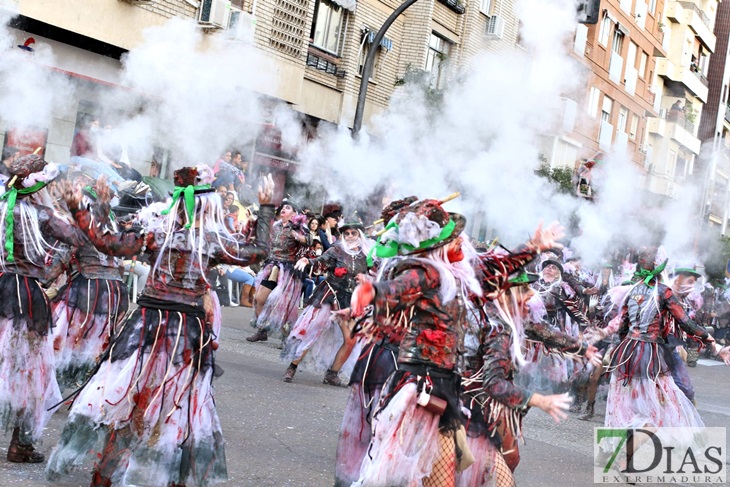 Imágenes del Gran Desfile de Comparsas del Carnaval de Badajoz (II)