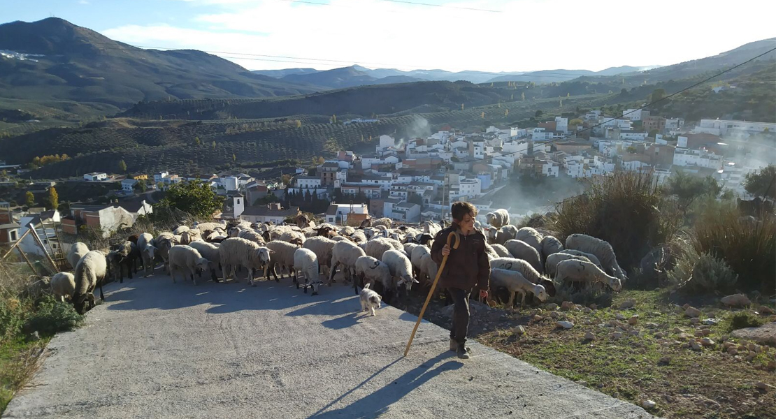 Subvenciones para promover la incorporación laboral de la mujer en el medio rural