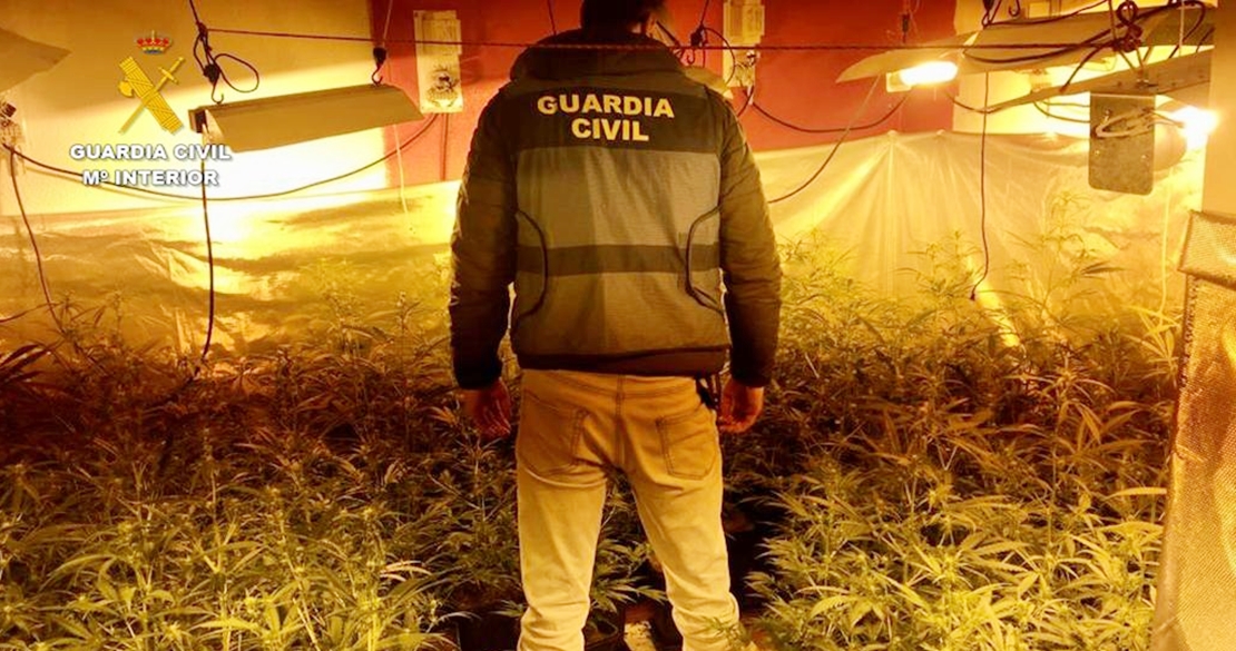 Operación contra el tráfico y cultivo de drogas en Navalmoral de la Mata (CC)