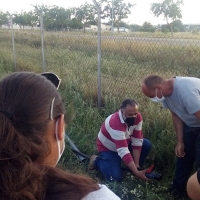 Curso gratuito sobre riego localizado en Don Benito