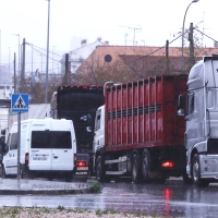 CEADE sobre la huelga de transportistas: “Se requieren soluciones urgentes y no para dentro de una semana”