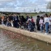 Badajoz celebra el Día del Pueblo Gitano