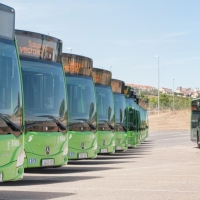 Festival de la Primavera en Cáceres: habrá autobuses al Recinto Hípico