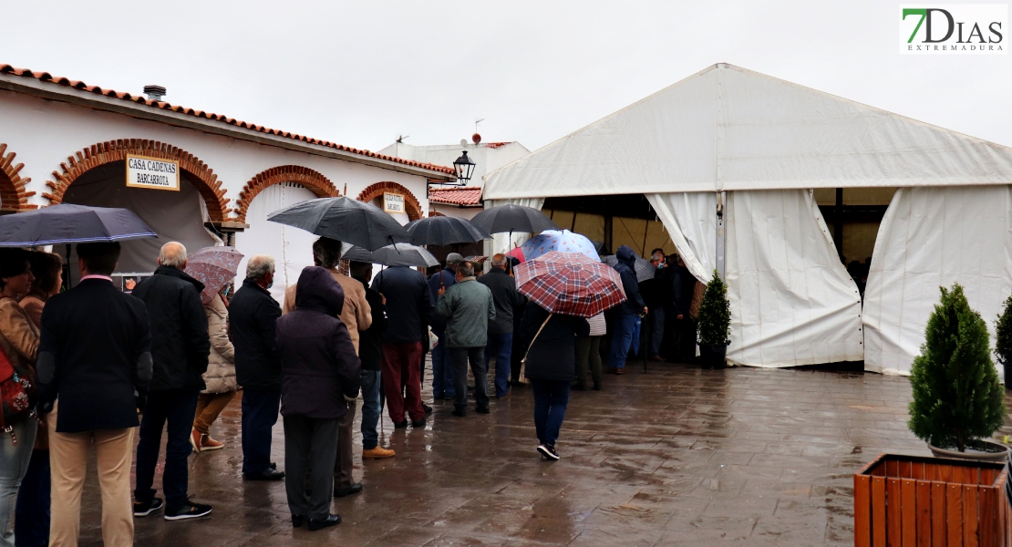 Queda inaugurado el 17º Certamen Gastronómico del Cerdo Ibérico de Barcarrota