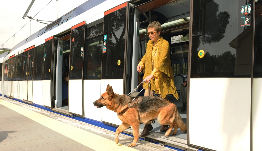 Los perros guía extremeños de la ONCE reclaman su derecho de acceso al transporte público