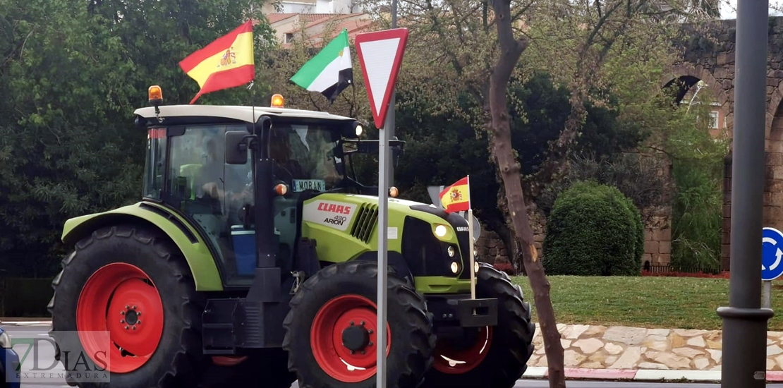 Marcha en Plasencia por la subida &quot;indiscriminada&quot; del gasoil