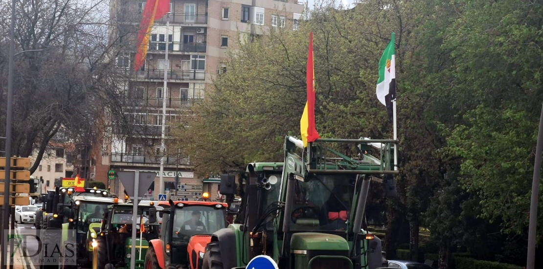 Marcha en Plasencia por la subida &quot;indiscriminada&quot; del gasoil