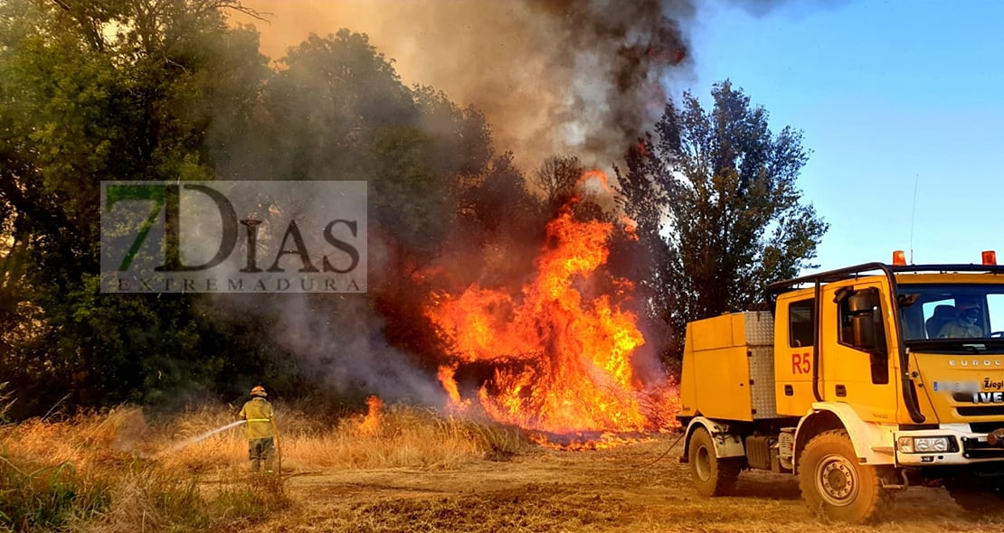 Extremadura trabaja en la prevención de incendios