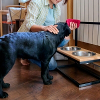 7 mitos sobre la comida de las mascotas: ¿comer azúcar provoca ceguera? #NoCuela