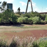 Exigen una solución inmediata para el Guadiana: &quot;Pedimos un dragado selectivo&quot;