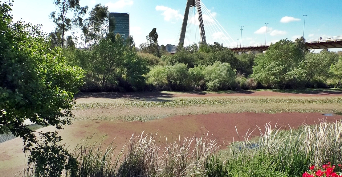 Exigen una solución inmediata para el Guadiana: &quot;Pedimos un dragado selectivo&quot;