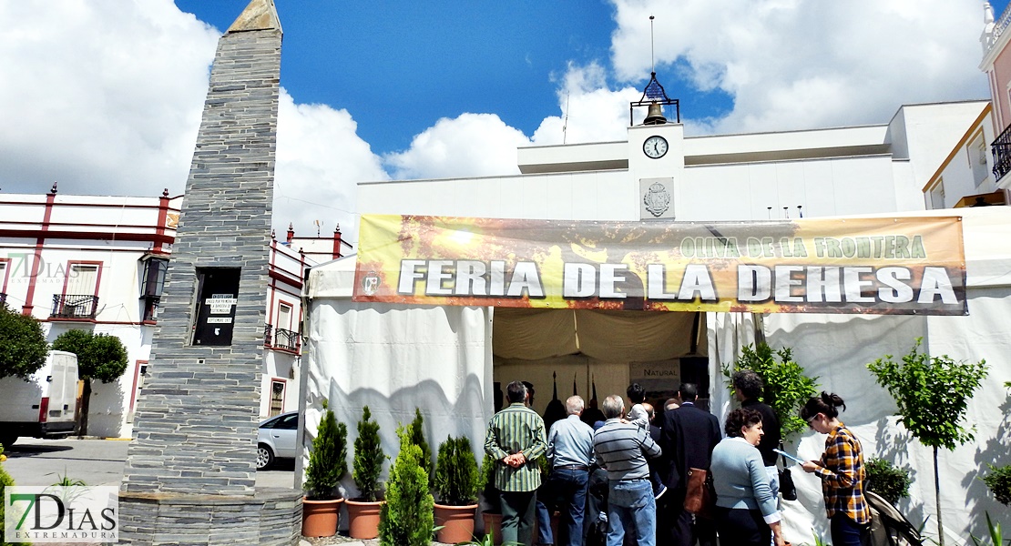 La XIII Feria de la Dehesa de Oliva de la Frontera retoma su formato tradicional