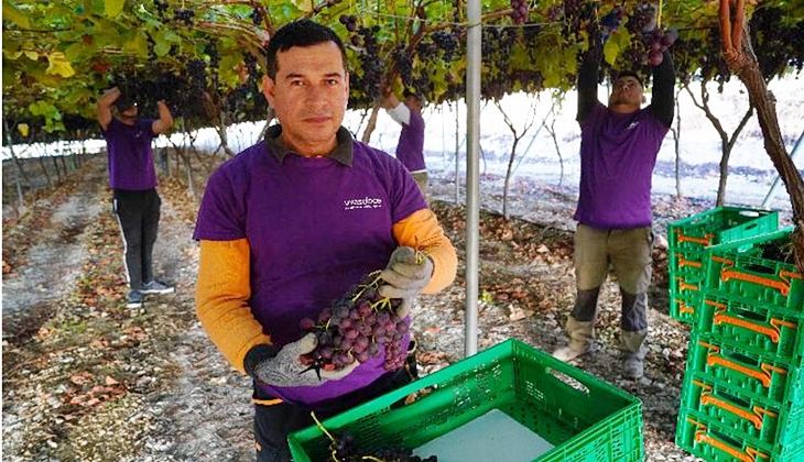 Mercadona elige Extremadura para realizar compras por valor de 380 millones de euros