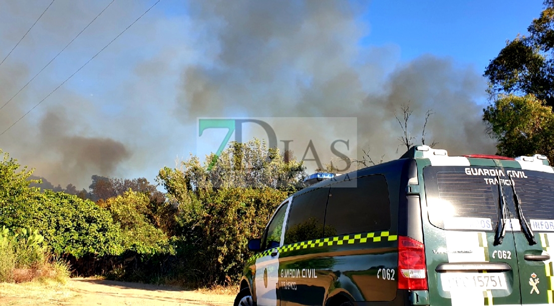 Un amplio dispositivo trabaja durante horas en un incendio forestal cercano a Badajoz