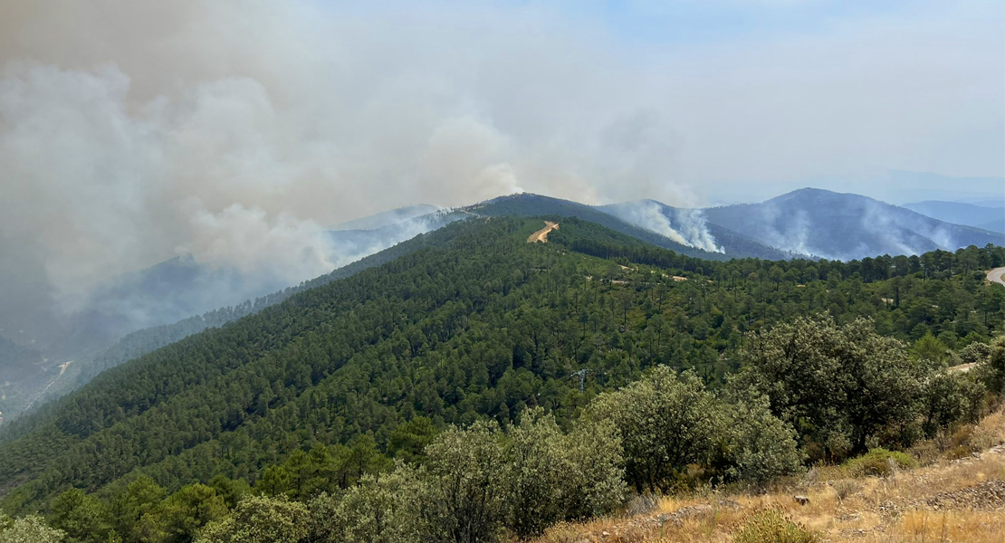 La coalición extremeña LEVANTA pide declarar como &quot;catastrófica&quot; la zona del incendio