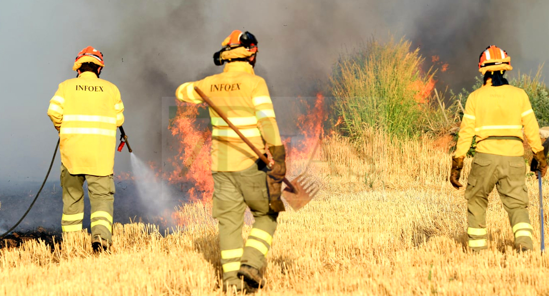 Medios del Plan INFOEX acuden a incendios forestales de fuera de Extremadura