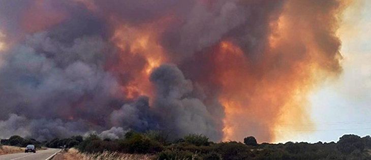 UPA pide un Pacto de Estado contra los incendios que cuente con la población rural