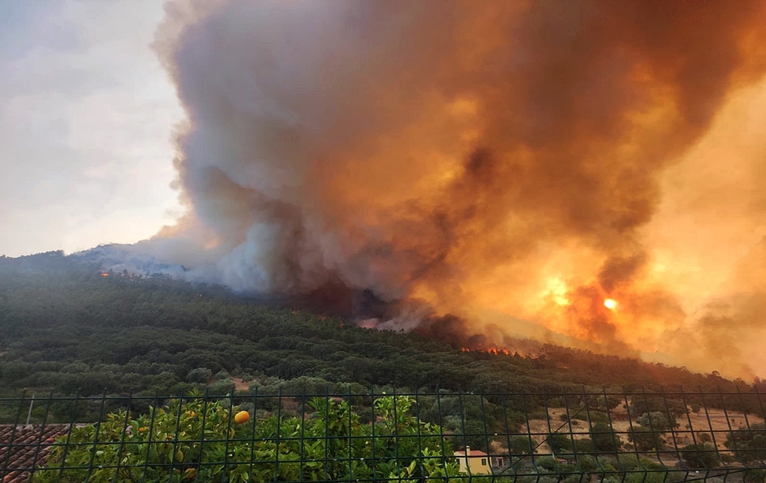 Cs critica que el Patronato del Parque de Monfragüe “pase de los incendios”