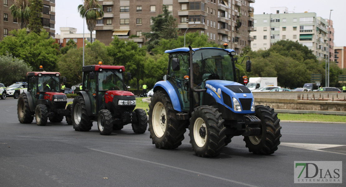 Imágenes de la tractorada del campo extremeño a su llegada a Badajoz