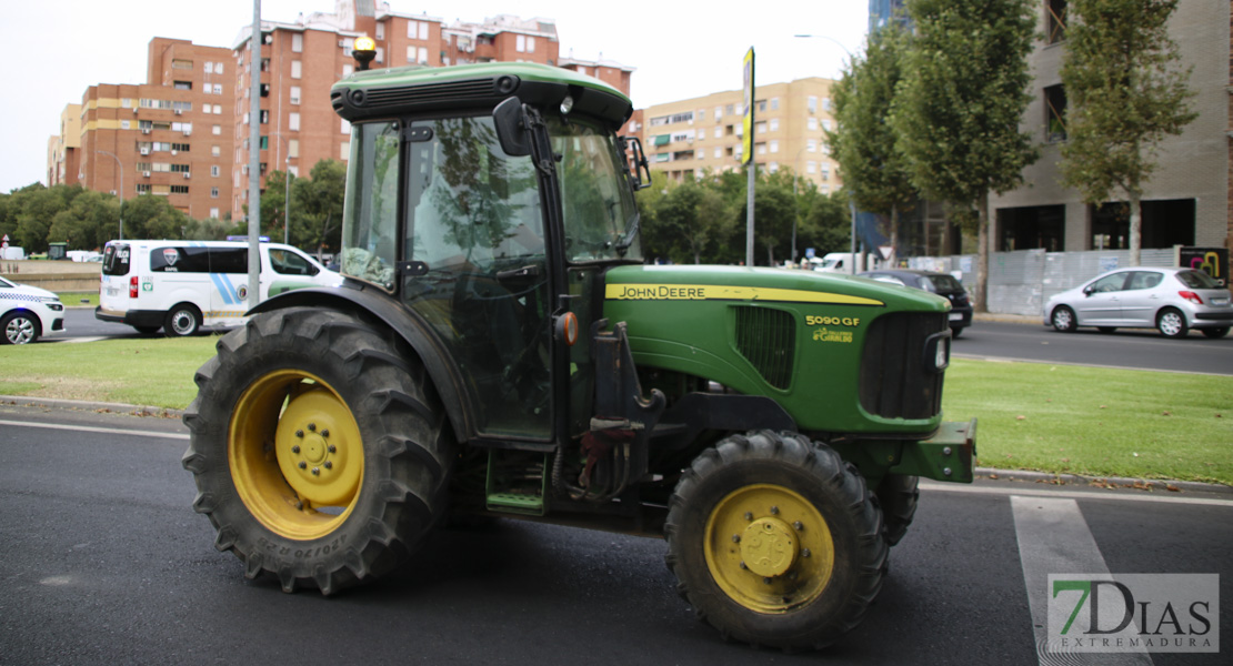 Imágenes de la tractorada del campo extremeño a su llegada a Badajoz