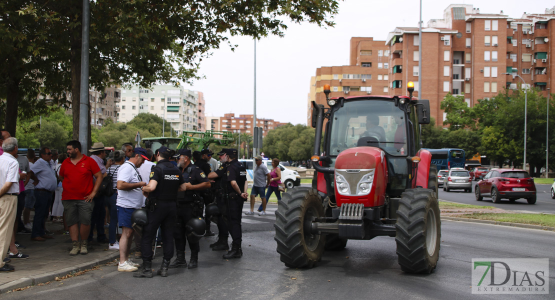 Imágenes de la tractorada del campo extremeño a su llegada a Badajoz