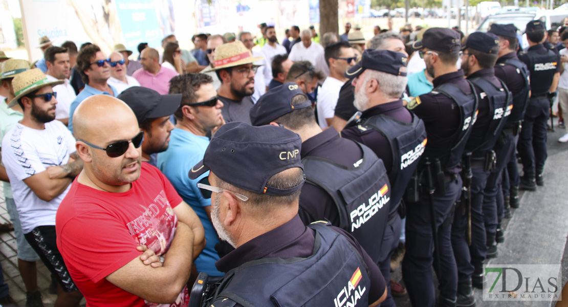 Imágenes de la tractorada del campo extremeño a su llegada a Badajoz