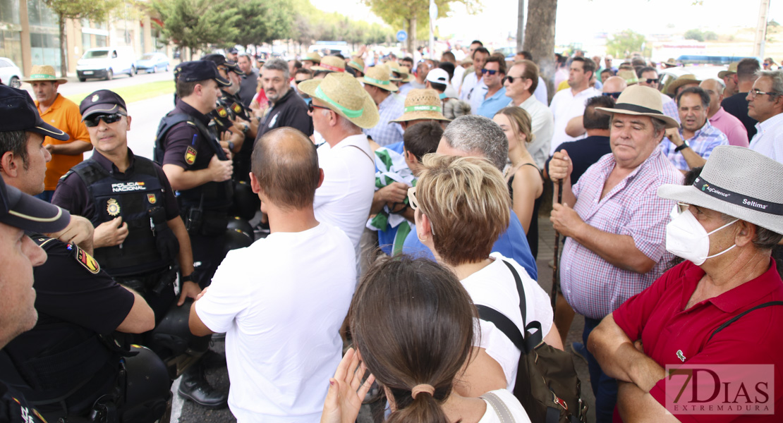 Imágenes de la tractorada del campo extremeño a su llegada a Badajoz