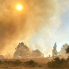 Imágenes del incendio forestal en Villanueva de la Vera (CC)