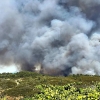 Imágenes del incendio forestal en Villanueva de la Vera (CC)