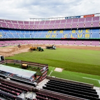 El FC Barcelona elige un césped extremeño para el Camp Nou