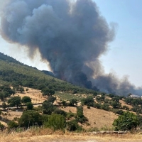 El incendio entra en la joya de Extremadura, el parque Nacional de Monfragüe